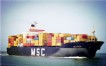 Mediterranean Shipping Company S.A. intends to customized-manufacture a batch of 11,000 TEU container vessels.